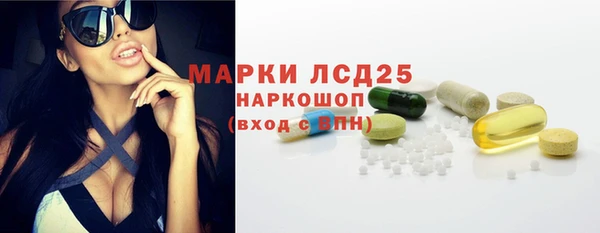 спайс Богданович