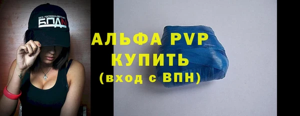 спайс Богданович