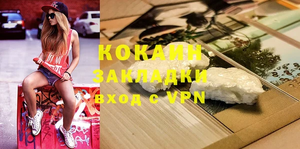 спайс Богданович