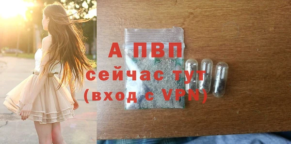 спайс Богданович